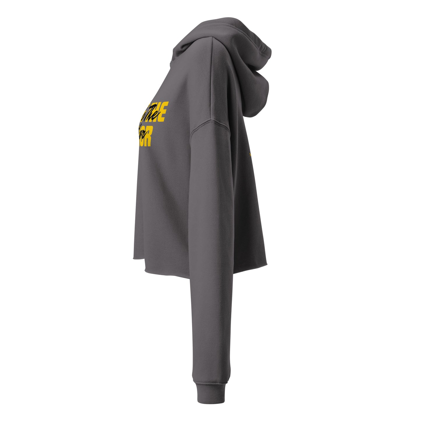 God Is The Author Women's and Teen's Crop Hoodie